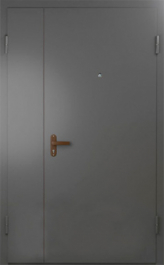 Фото двери «Техническая дверь №6 полуторная» в Егорьевску